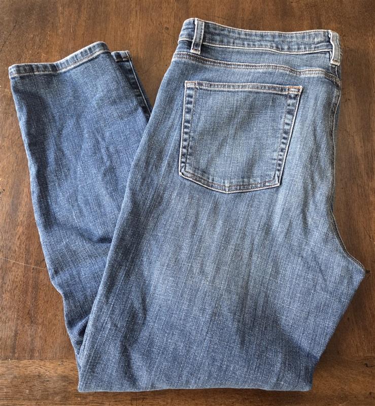 PO Eileen Fisher 14 Denim 5 pocket Organic Cotton Jeans Blue 130102