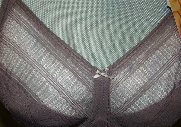 NWT Lilyette 40G Enchantment 3 Section Mesh Minimizer Bra 434 Raisin 130175