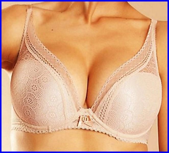 NWOT Chantelle 32DDDD Festivite Contour Plunge Bra 3682 Beige Lace 130183