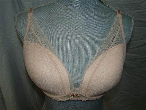 NWOT Chantelle 32DDDD Festivite Contour Plunge Bra 3682 Beige Lace 130183