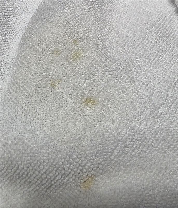 NWOTD The Beach People Joie Blue White Round Towel Fringe 130401