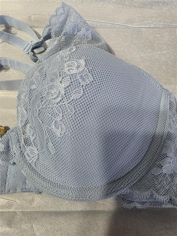 NWT Natori 36DDD Cherry Blossom 721191 Convertible Bra Blue 131008