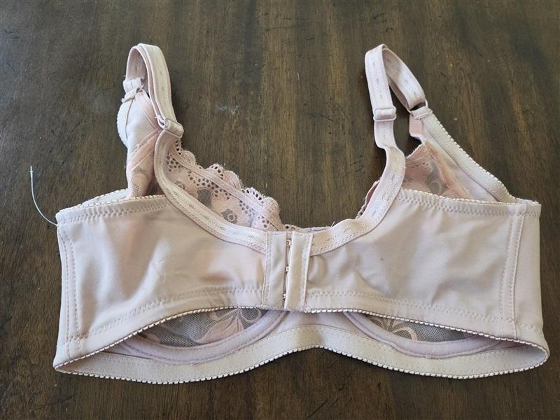 NWOT Carnival 36DD Full Figure Floral Lace Bra 511 Pink 131612