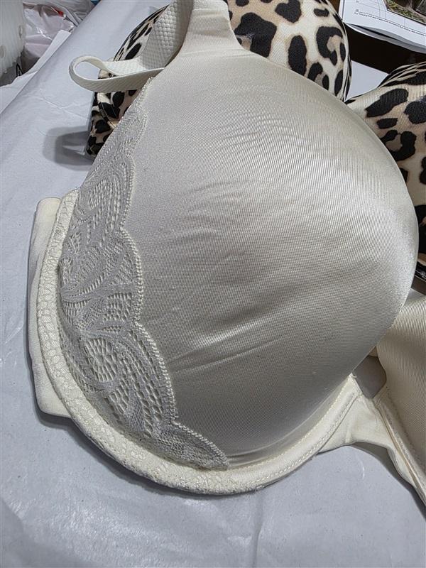 NWT 2 Secret Treasures 40DDD Lifting Plunge Bra Ivory & Animal 132997
