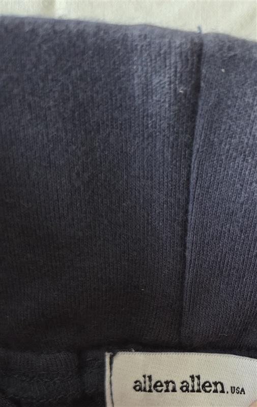 NWOT Allen Allen L 100% Linen Blue Pants Pull On 133254