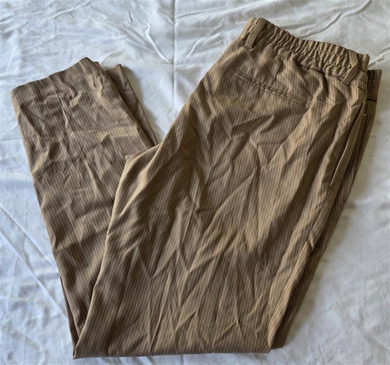NWOT INC LG Pinstripe Tan Elastic Waist Button Up Pants 133285