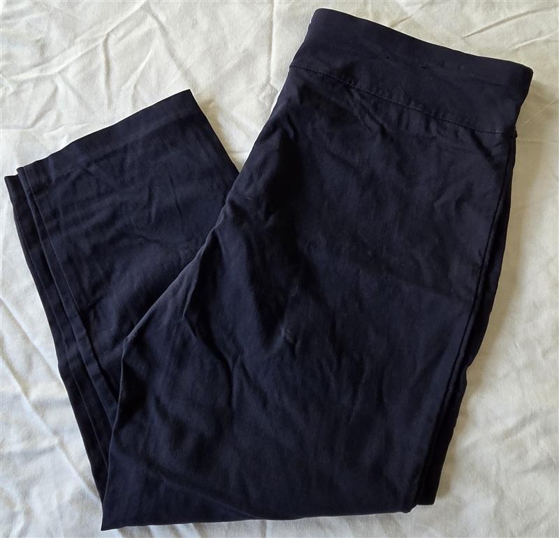 NWOT Alfani 14 Tummy-Control Pull-On Skinny Ankle Pants Blue 133288