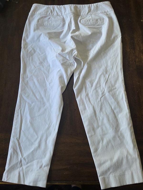 NWOTD Soft Surrounding PXL Superla Pull On Stretch Ankle Pants White 133303
