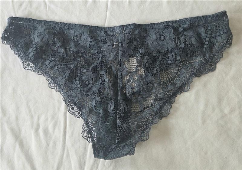 NWT Free People S Lace Storm Water Blue Bikini Underwear 133324