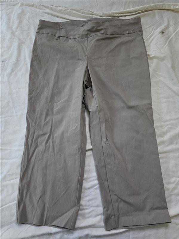 NWOT Alfani 16W Tummy-Control Pull-On Skinny Cropped Pants Tan 133630
