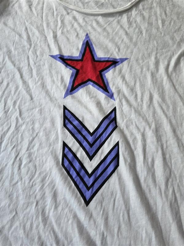NWOTD Wildfox M Military Star & Arrow Graphic T Shirt Raw Hem T Shirt 133661