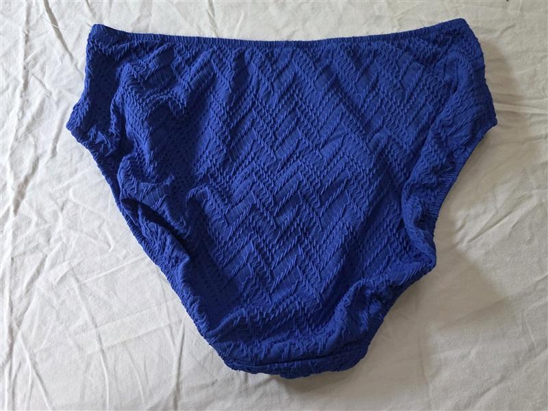 NWOT Profile Gottex Ribbon 12 Smocked High-Waist Bikini Blue Swim Bottom 134189