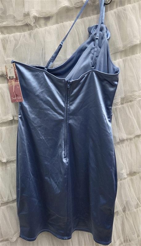 NWT Emerald Sundae L Roses Blue Mini Dress 134320