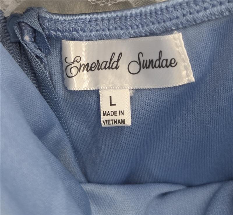 NWT Emerald Sundae L Roses Blue Mini Dress 134320
