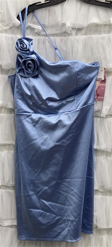 NWT Emerald Sundae L Roses Blue Mini Dress 134320