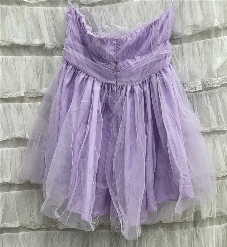 NWT The Vintage Shop L Dry Goods Purple Tulle Mini Dress 134321