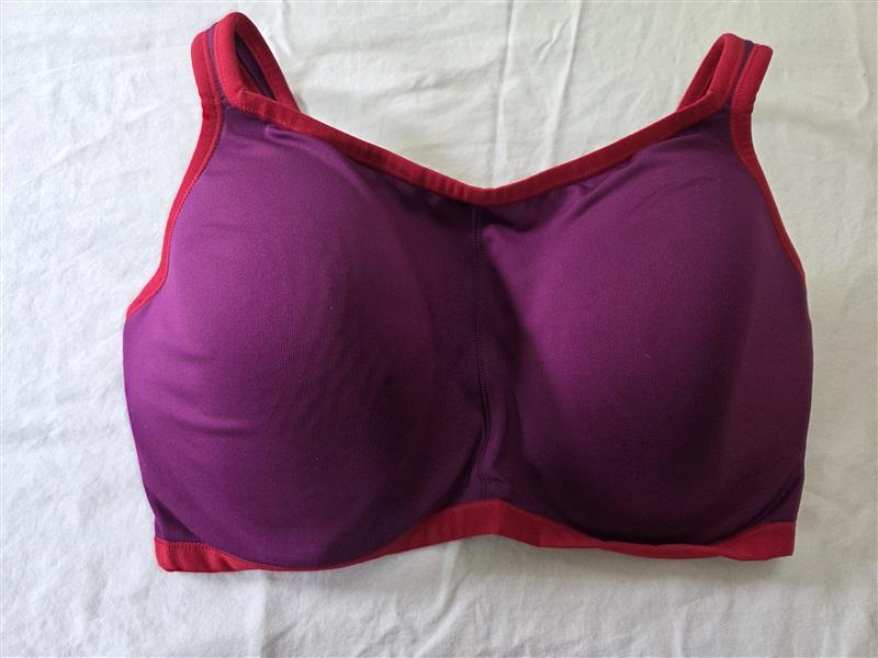 NWOT Natori Yogi 34G Yoga Sports Bra Purple & Pink 731050 134693