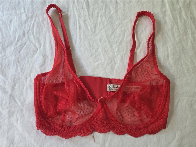 NWT Intimately Free People 34C Lace Underwire Sheer Bra Red Polka Dot 135070