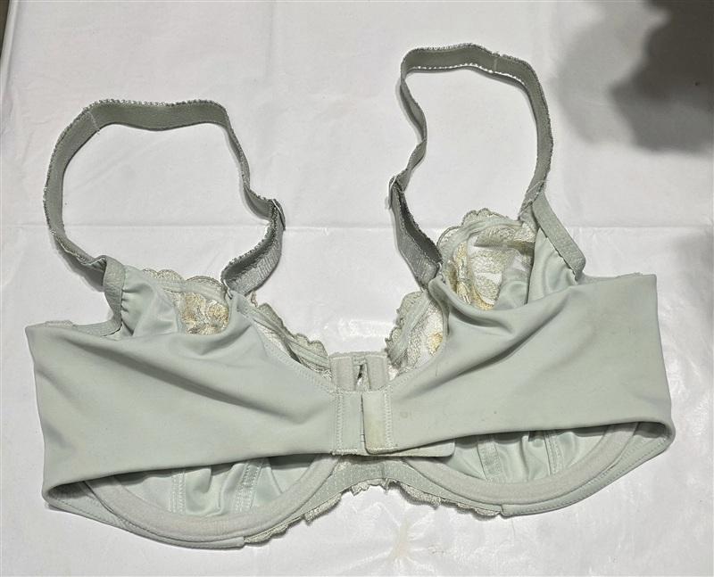 NWOTD Fantasie MAGDALENA SIDE SUPPORT BRA FL103401 Green 135103