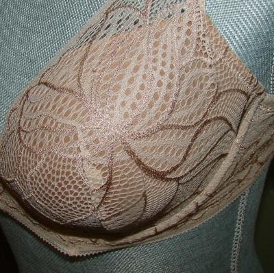 NEW Natori 32D Lotus Edge Lace Plunge Bra 730047 Beige 135191