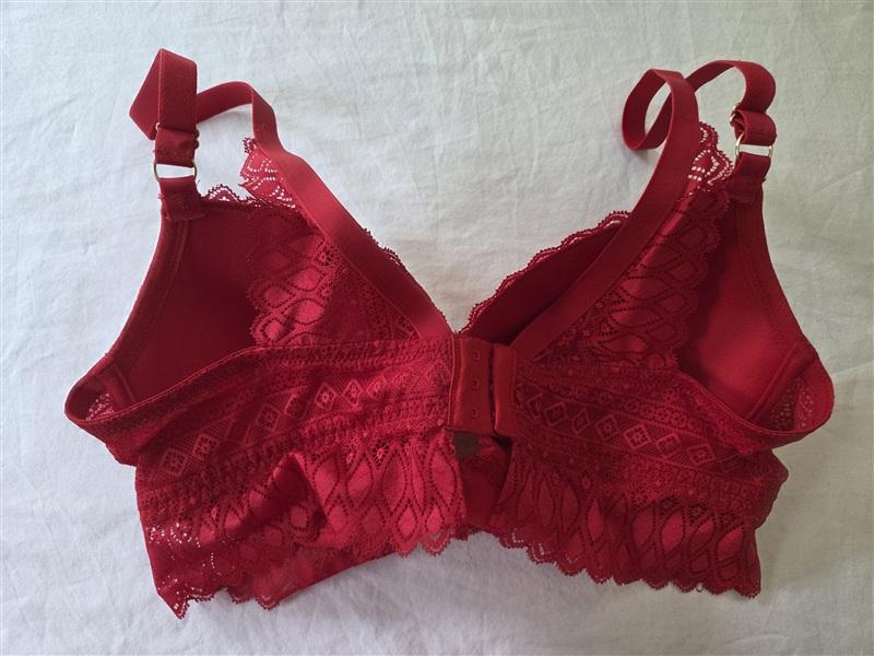 NWT Etam 36DD Bra No. 5 The Longline Lace Red Underwire 135899