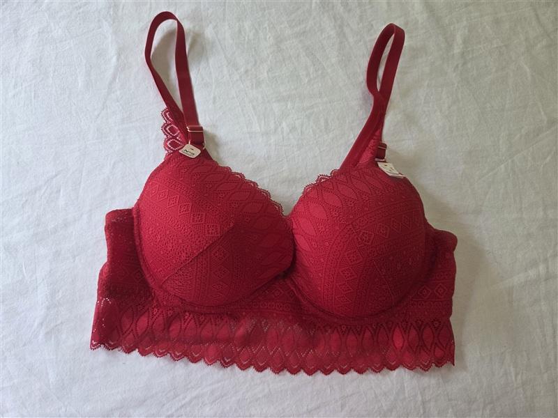 NWT Etam 36DD Bra No. 5 The Longline Lace Red Underwire 135899