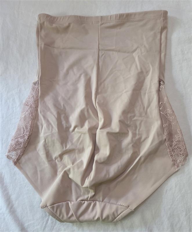 NWOT Naomi Nicole XL Little Lace a Lot of Shape Hi-Waist Brief 7355 Beige 136197