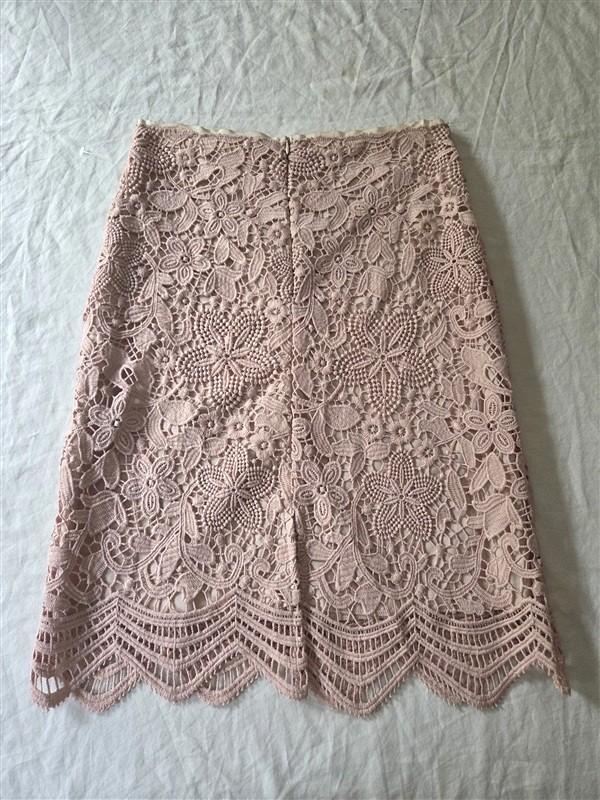 NWOT Anthropologie M Everleigh Pink Embroidered Lace Mini Skirt 136297