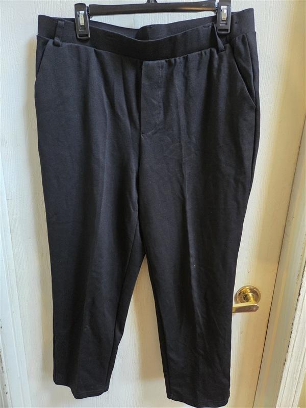 NWT Dictionary XL Pull-on Slim Ankle Pants Black 136390