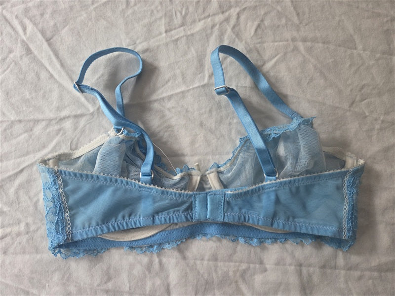 NWOT Heidi Klum 32C Natural French Lace Underwire Bra H20-1166B Blue 136672