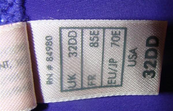 NWT Parisa 32DD Body Veil Push Up Plunge Bra PT1042 Purple 95346