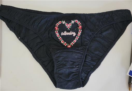 NWOT Only Hearts SM Helena Stuart Saturday Embroidered Underwear 103002