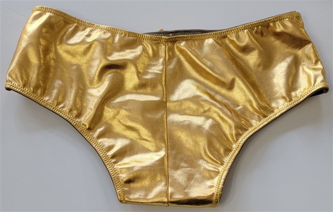 NEW Lovely in California Lingerie L Gold SHINY Metallic Hipster Panty #90004